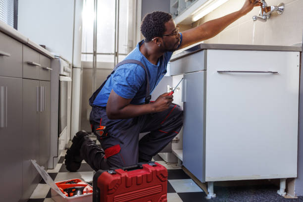 Best Septic Systems  in Chisago City, MN